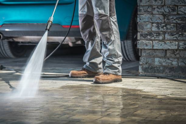 Boat and Dock Cleaning in Minerva Park, OH
