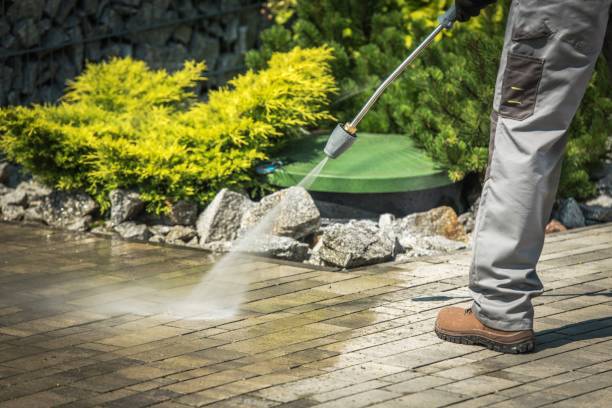 Best Fleet Vehicle Washing  in Minerva Park, OH