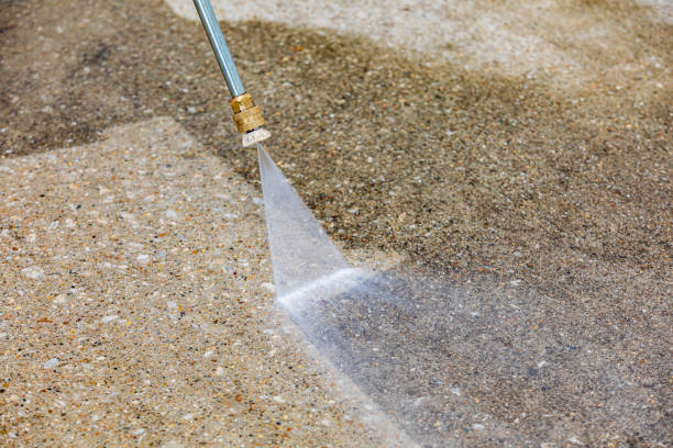 Best Gutter Cleaning  in Minerva Park, OH